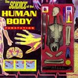 Human Body Funstation