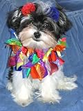 16 Ribbon Dog Collars, 1 Rainbow and 1 Red with 4 Hair Clips