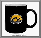 Iowa Hawkeyes (Oval Logo) 2-Tone Coffee Mug (Set of 4)