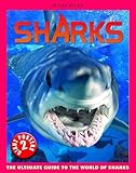 Sharks : the ultimate guide to the world of sharks