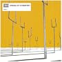 Origin of Symmetry