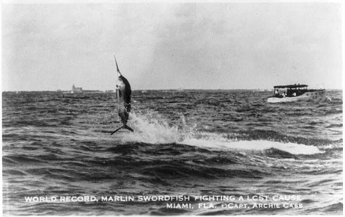 World record marlin swordfish leaping out of the water,Miami,FL,c1934,boat