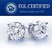 EGL Certified 14k White Gold Diamond Stud Earrings (HI, I1-I2, 0.20 carat)-Money Back Guarantee