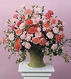 Same Day Flower Delivery Pink and Peach Carnation Sympathy Arrangement
