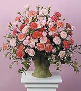 Floral Same Day Flower Delivery Pink and Peach Carnation Sympathy Arrangement