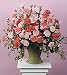 Same Day Flower Delivery Pink and Peach Carnation Sympathy Arrangement