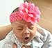 QandSweet Baby Girl's Needle Hook Headbands with Chiffon Grenadine Flower 12-Pack