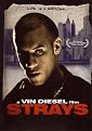 Strays (Widescreen)