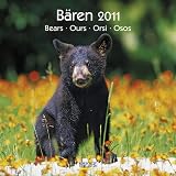 Produkt-Bild: B&auml;ren / Bears / Ours / Orsi / Osos 2011. Brosch&uuml;renkalender