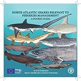 North Atlantic sharks relevant to fisheries management : a pocket guide