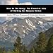Book Show Me The Money: The Financial Side of Selling Car Bumpers Online