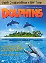 Dolphins (Large Format)