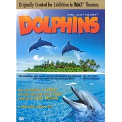 Dolphins (Large Format)