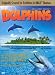 Dolphins (Large Format)
