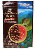 Dark Chocolate Covered Guava