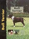 Bull Terrier (Dog Breed Book)