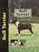 Bull Terrier (Dog Breed Book)