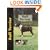 Bull Terrier (Dog Breed Book)