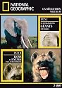 National Geographic : Le Langage des &eacute;l&eacute;phants d'estosha / lions et hyn&egrave;nes face &agrave; face mortel - Edition digipack 2 DVD