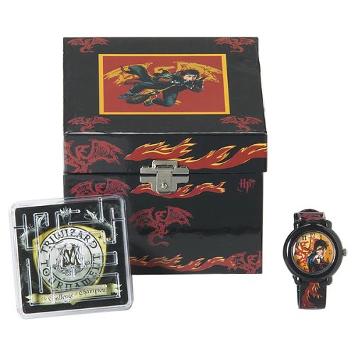 Harry Potter Treasure Box