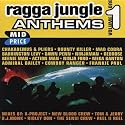 Ragga Jungle Anthems, Vol. 1