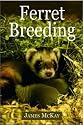 Ferret Breeding