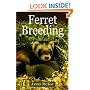 Ferret Breeding