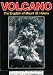 Book Volcano: The Eruption of Mount St. Helens