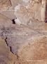 Art, Biology, and Conservation: Biodeterioration of Works of Art (Metropolitan Museum of Art Series)