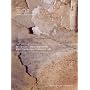 Art, Biology, and Conservation: Biodeterioration of Works of Art (Metropolitan Museum of Art Series)