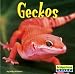 Geckos (Bridgestone Books World of Reptiles)
