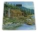 Digital Lake Front Fishing Cabin Bathroom Scale