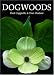Dogwoods: The Genus Cornus