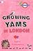 Growing Yams in London