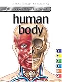 Human body
