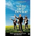Waking Ned Devine (Widescreen)