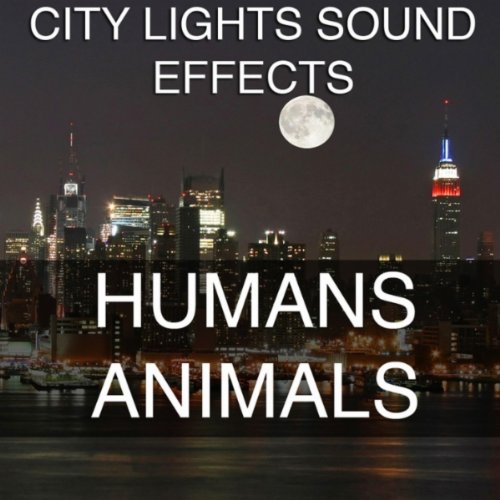 Bottle Glass Medium Breaking Sound Effects Sound Effect Sounds EFX SFX FX Human Eating