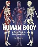 The human body : a visual guide to human anatomy