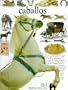 Caballos (Eyewitness Series in Spanish) (Spanish Edition)