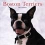 Boston Terriers 2004 Calendar