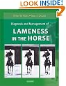 Diagnosis and Management of Lameness in the Horse