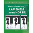 Diagnosis and Management of Lameness in the Horse