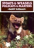Stoats & weasels, polecats & martens