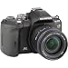 Olympus Evolt E510 10MP Digital SLR Camera with CCD Shift Image Stabilization and 14-42mm f/3.5-5.6 and 40-150mm f/4.0-5.6 Zuiko Lenses