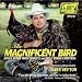 Search : The Magnificent Bird