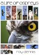 Life of Ospreys