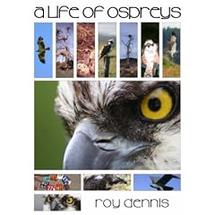 A Life of Ospreys