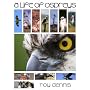 A Life of Ospreys
