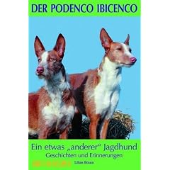 Der Podenco Ibicenco: Ein etwas anderer Jagdhund