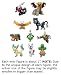 Search : Pokemon Super Encyclopedia Mini Figure Series 13 (1 set of 10 mini 1